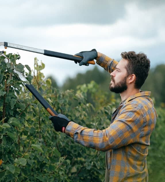 CleanMade technician cleaning the garden