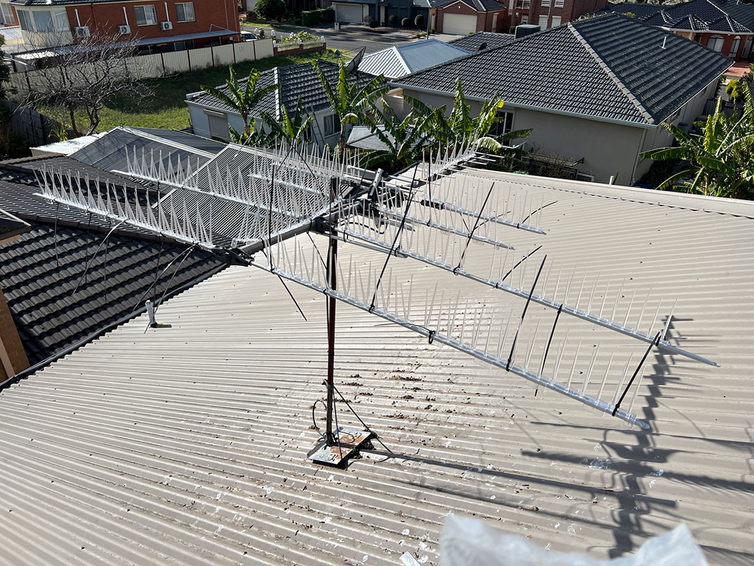 antenna on a roof with bird spikes to prevent birds from perching