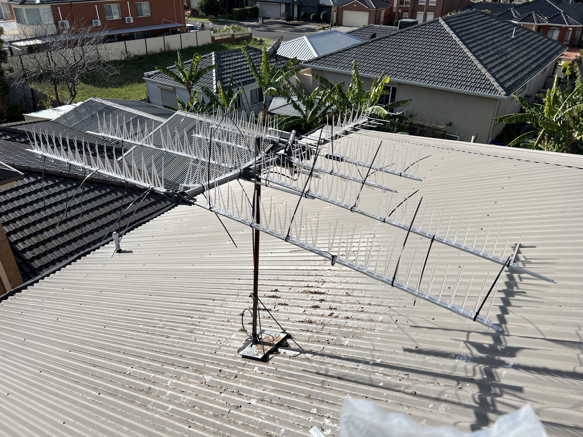 on a tin roof above an antenna that has had CleanMade bird spikes installed to prevent birds from perching