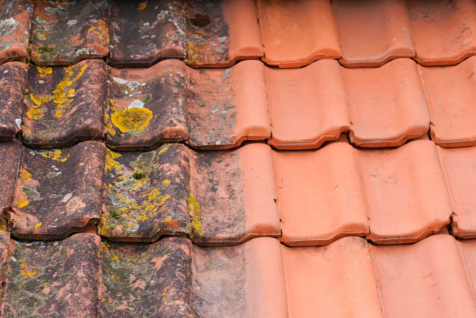 the difference after a roof cleaning service performed by cleanmade technicians on terracotta tiles in melbourne