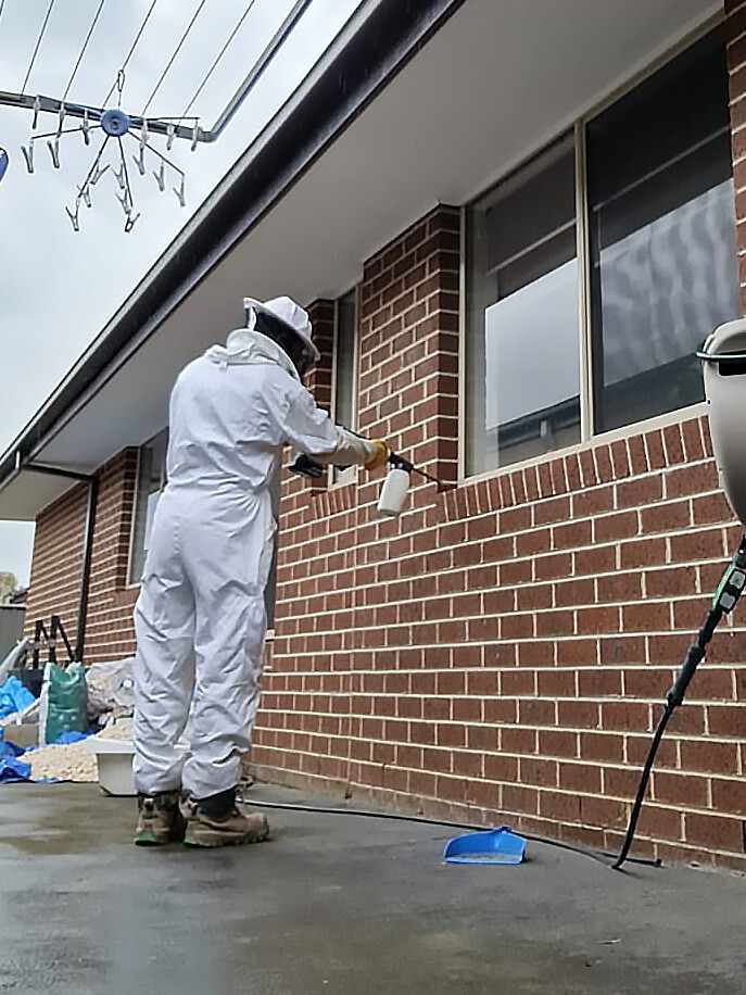 pest control external surface spray application