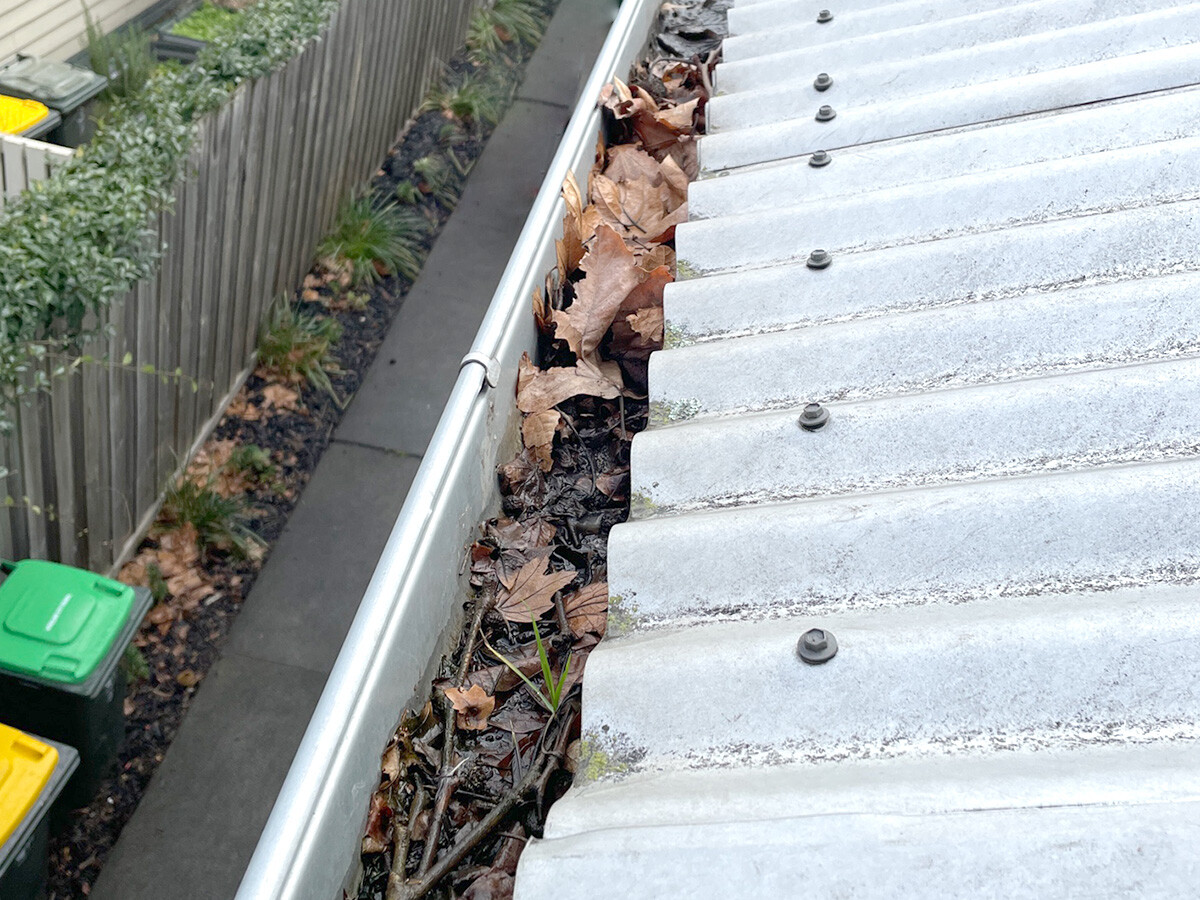 Before Gutter Cleaning Service
