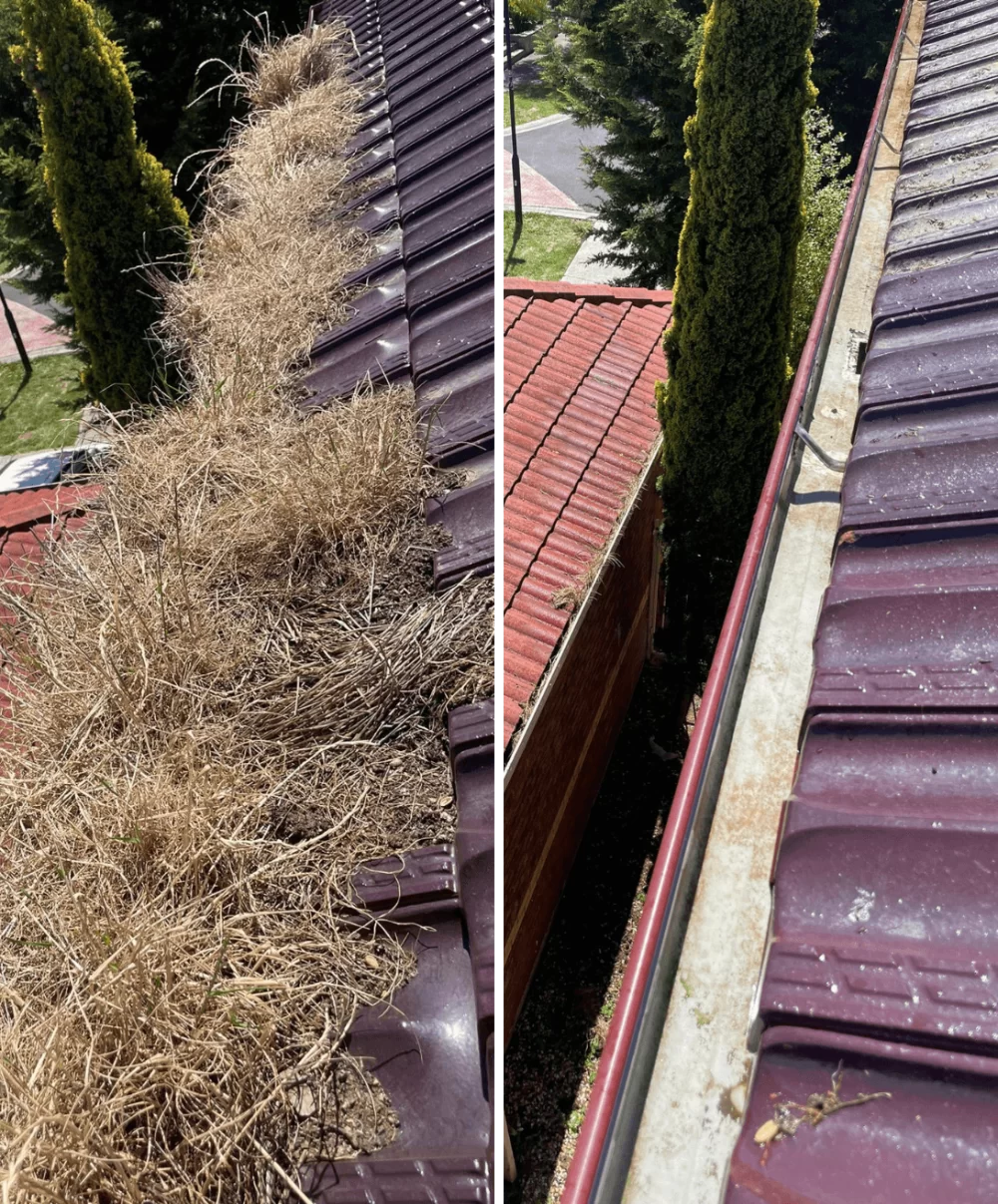 Close up of a metal gutter along the edge of a house roof before and after cleaning
